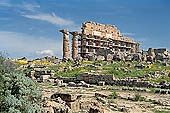 Selinunte Acropolis the majestic Doric columns of the temple C overlooking the Acropolis (VI c BC) raised with the method of anastylosis in the twentys. 